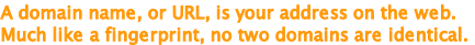 A domain name, or URL, is your address on the web.
Much like a fingerprint, no two domains are identical.